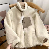 Coverwin Outfit 2024 Spring New Korean Hot Style Zipper Loose Stand-up Collar Sweater Couple Style Windproof Pocket Warm Lamb Wool Jacket