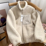 Coverwin Outfit 2024 Spring New Korean Hot Style Zipper Loose Stand-up Collar Sweater Couple Style Windproof Pocket Warm Lamb Wool Jacket